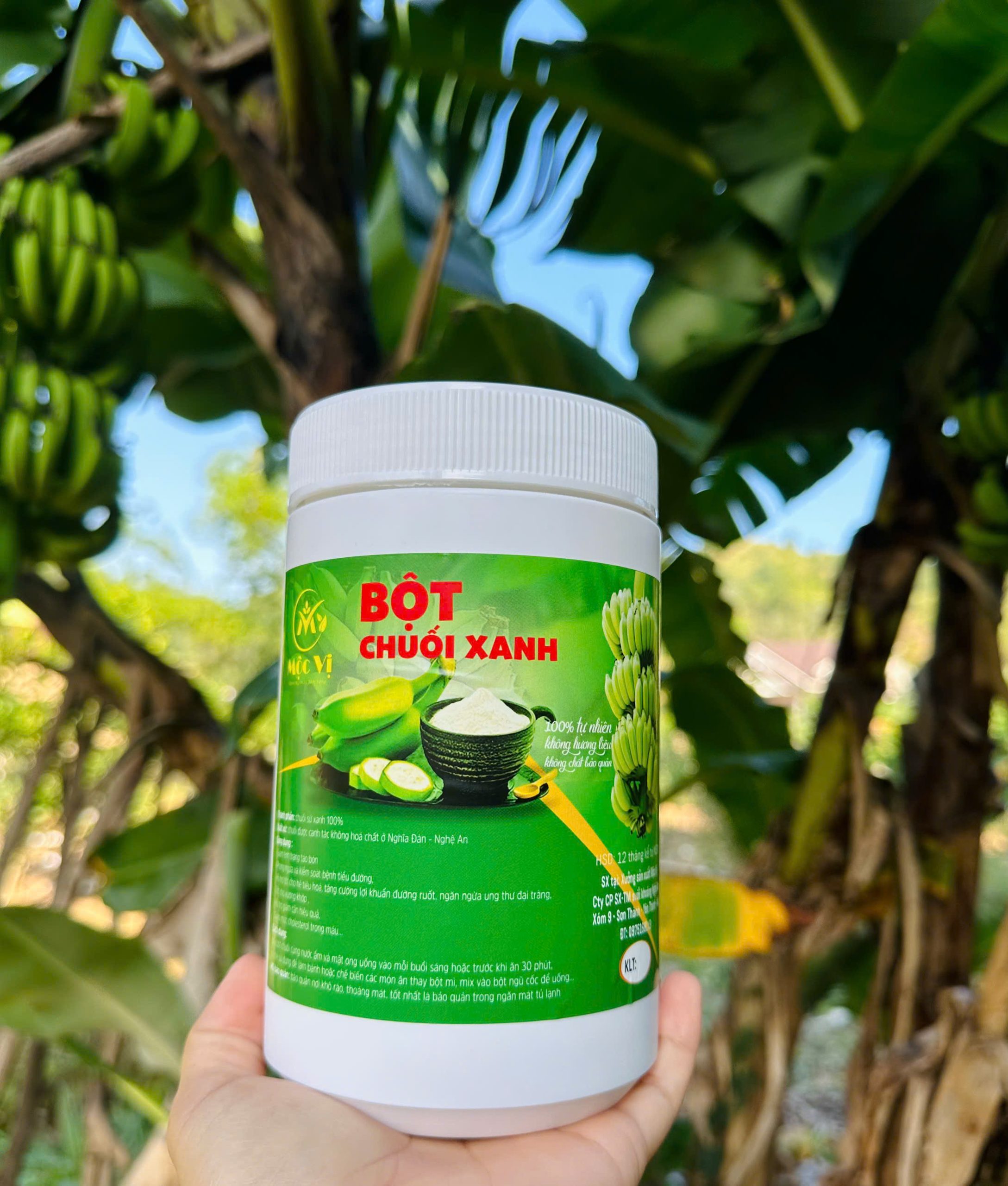 BỘT CHUỐI XANH MỘC VỊ - Ảnh 3