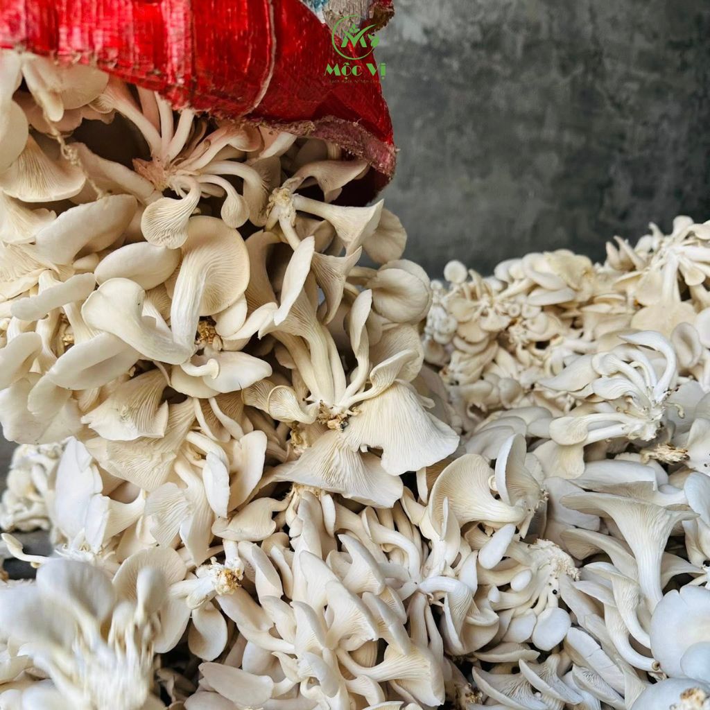 MUỐI NẤM MỘC VỊ - Ảnh 4